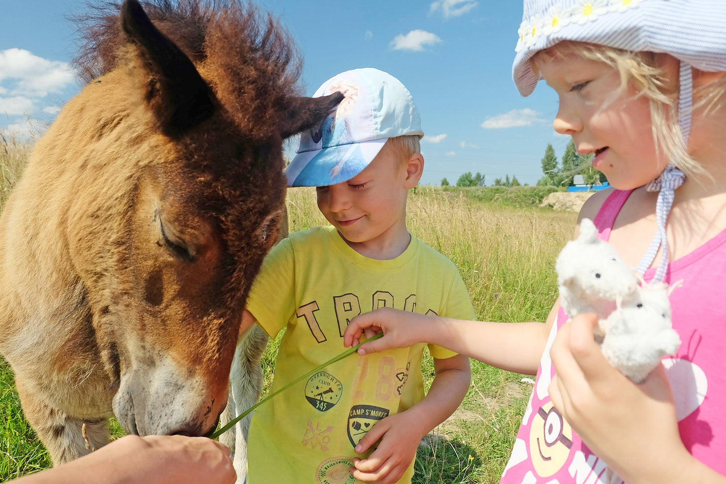 Bauernhof - BA1: 10.08. – 14.08.2026