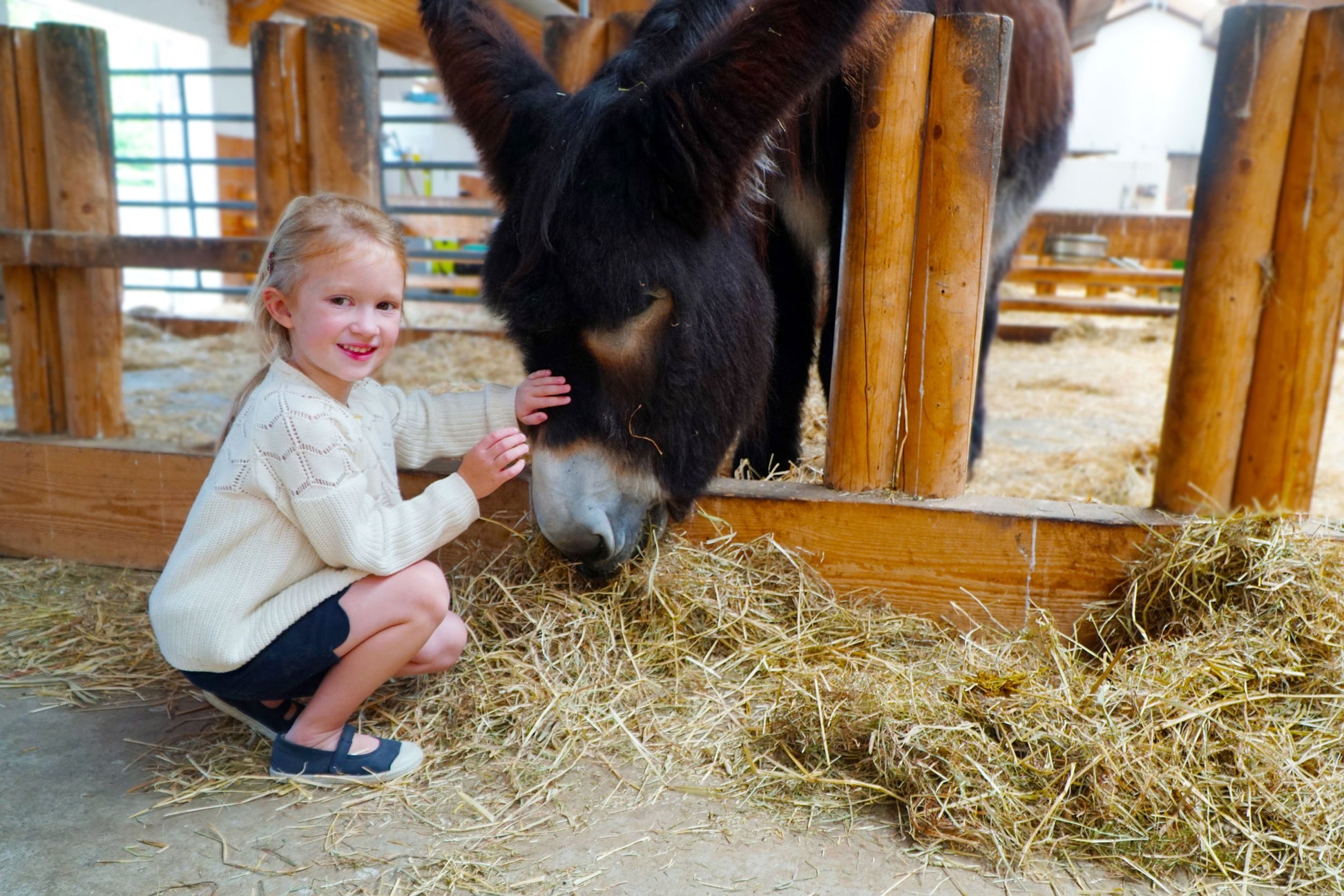 Kind streichelt Esel im Stall auf dem Bauernhof