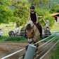 Mädchen reitet auf einem Pferd