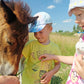 Bauernhof - Juli-BA2: 20.07. – 24.07.2026